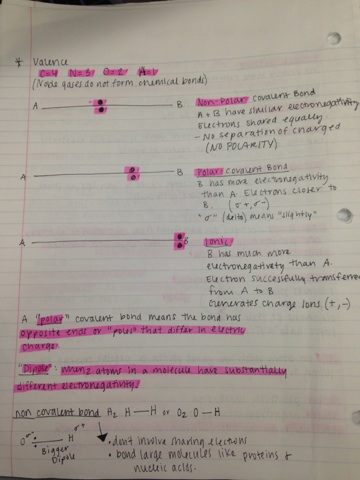 Study Guide Chapters 1-5