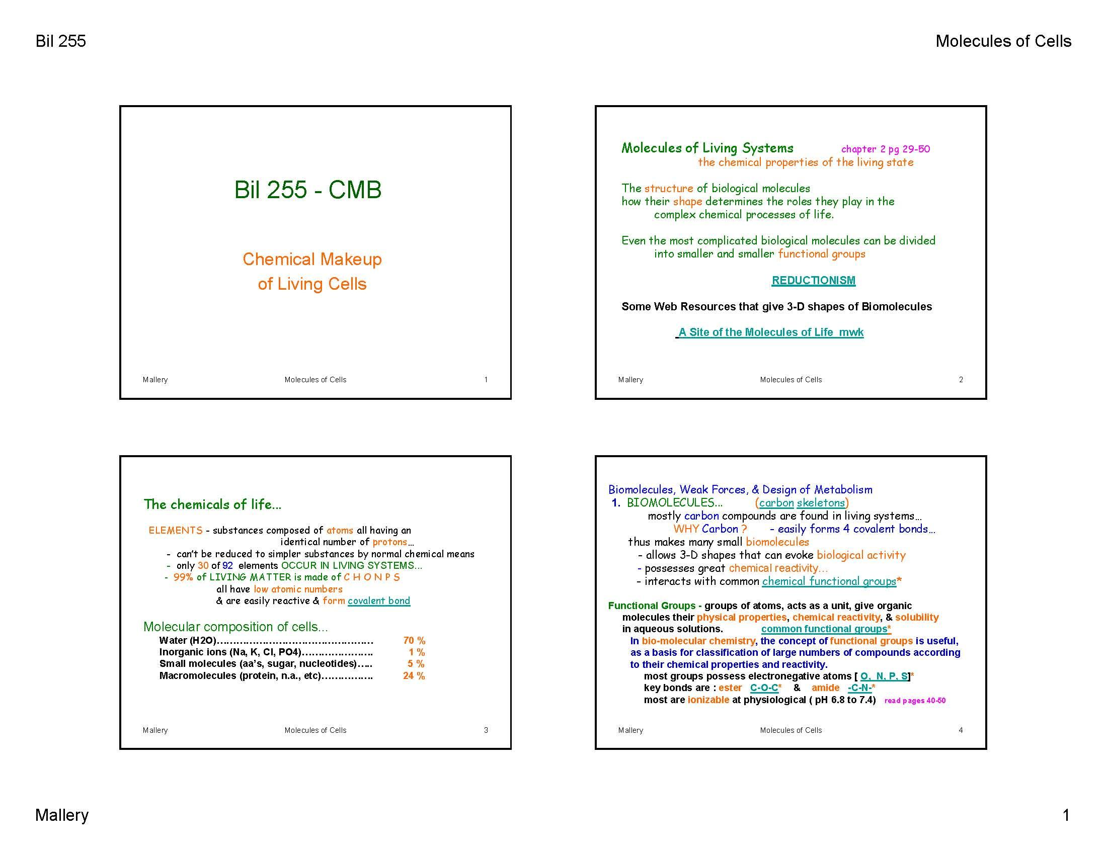 Cell Molecular Bil