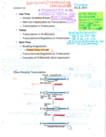 Lecture 12 Notes 