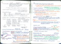 PSY-0022 Emotion: Emotions and Social Relationships 10/27,29