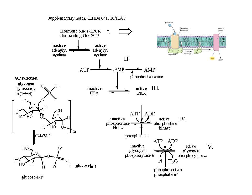 Biochemistry
