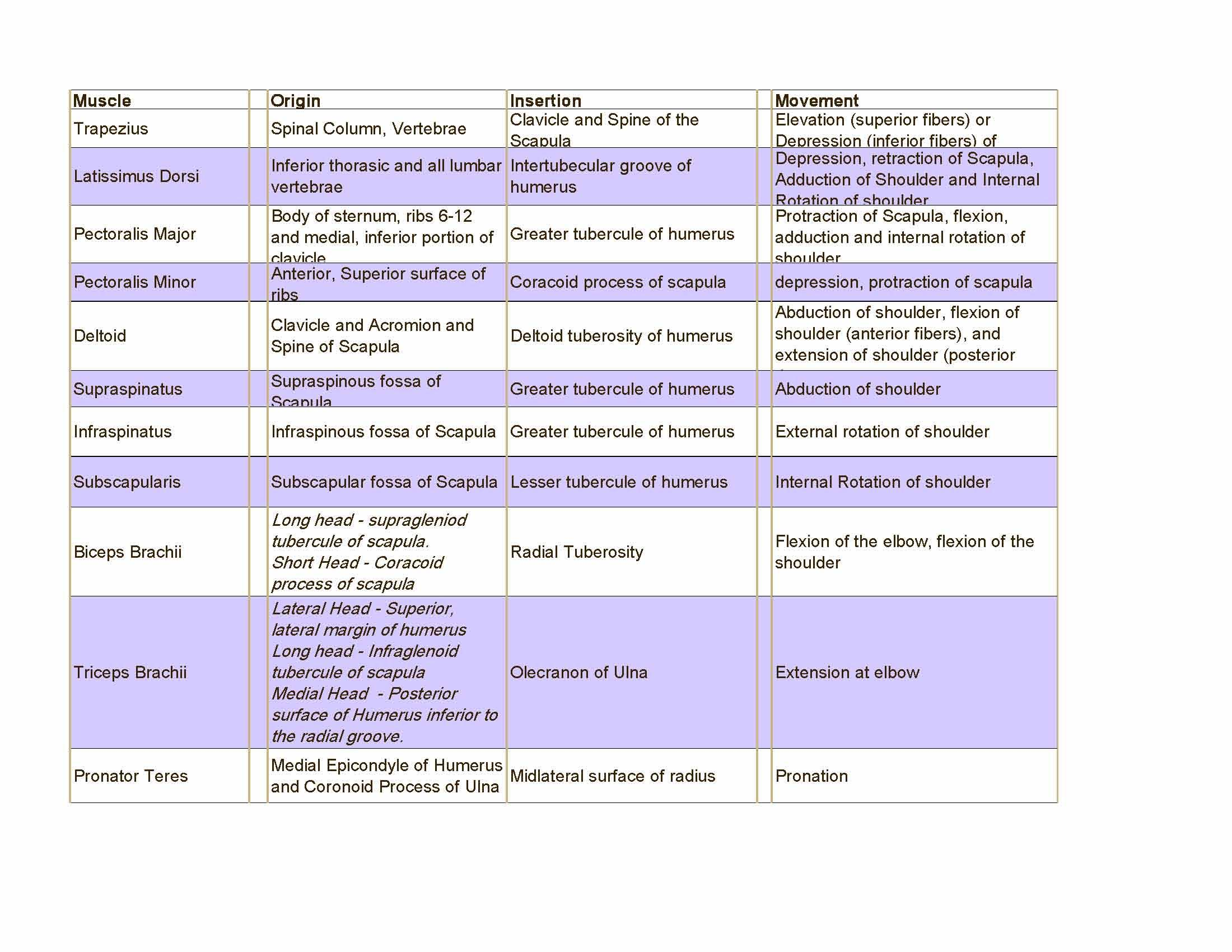 Human Anatomy & Physiology I