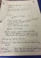 Study Guide 