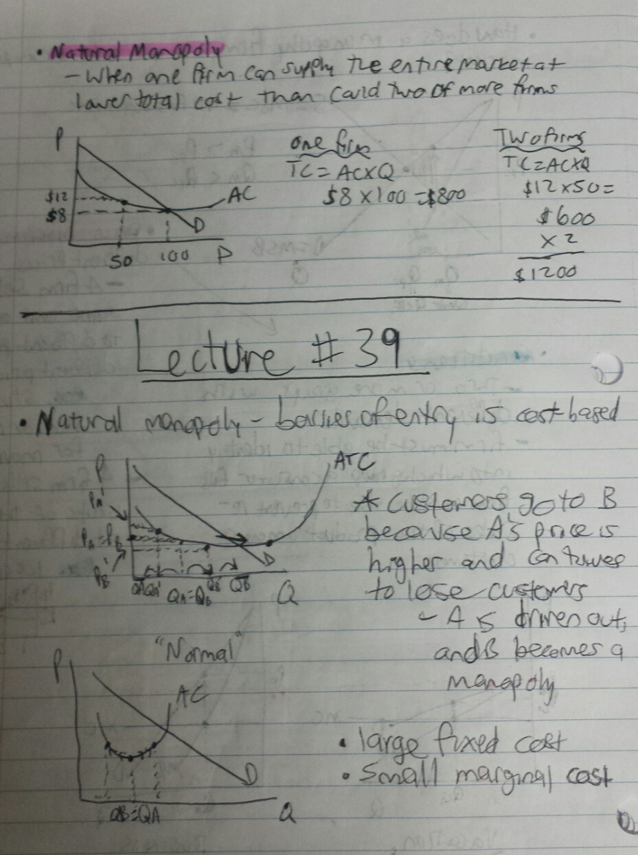 Microeconomics Week 11 Lecture Notes (39-42)