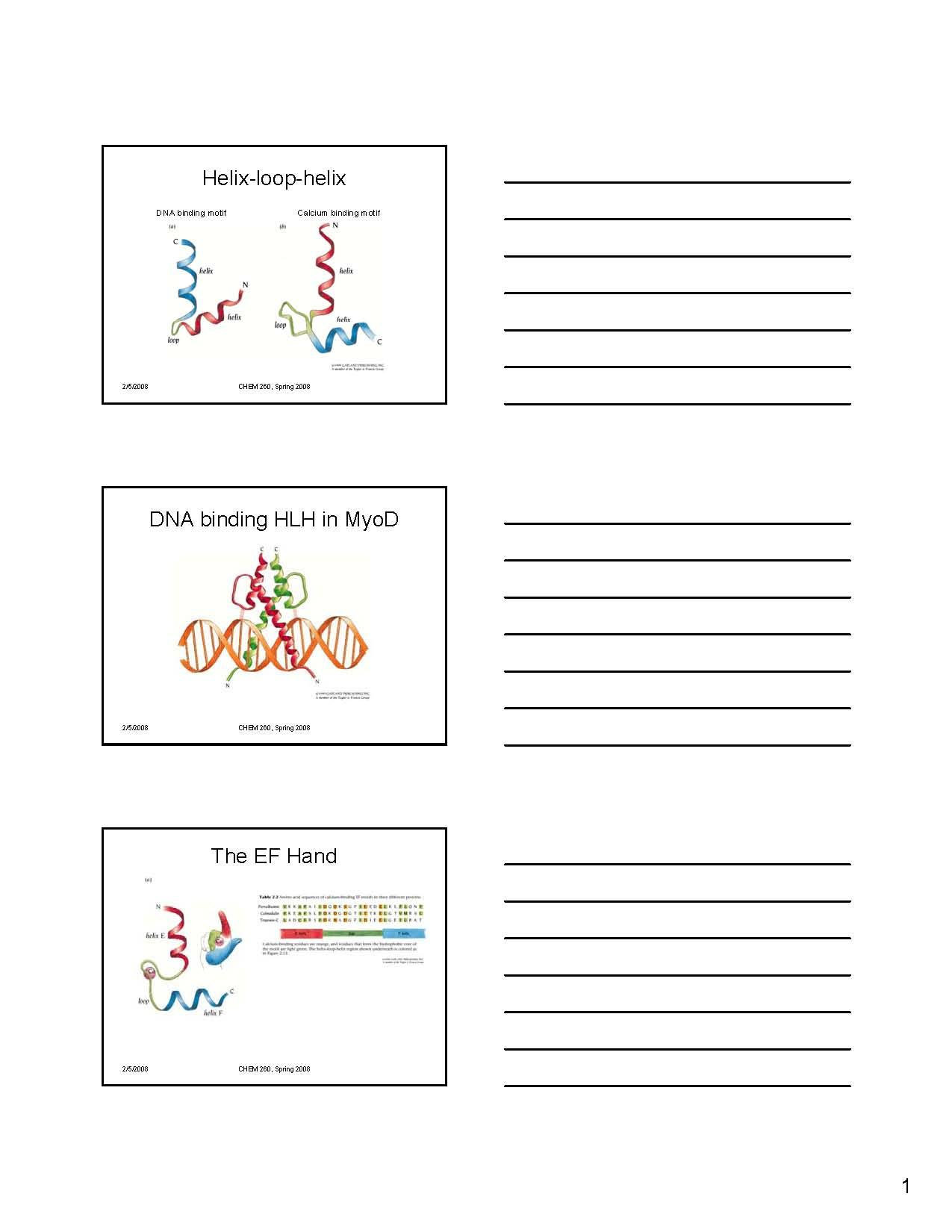 Protein Biochemistry