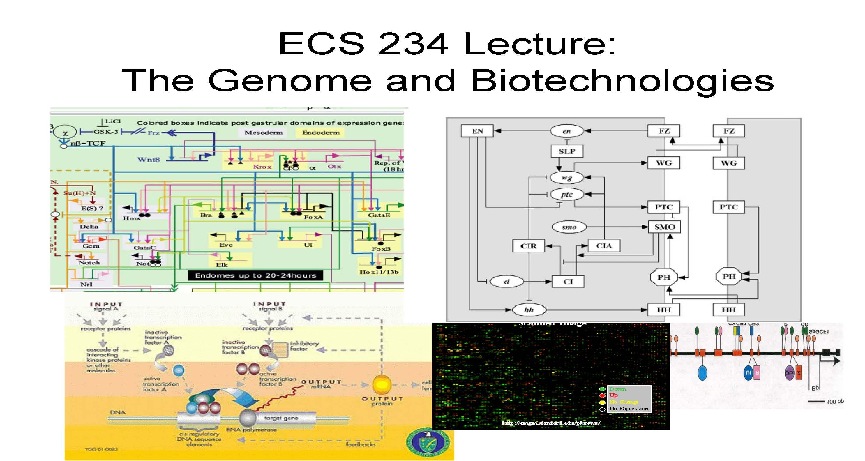 Comp Functional Genomics