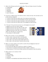 Exam 1 Multiple Choice (with answers!)