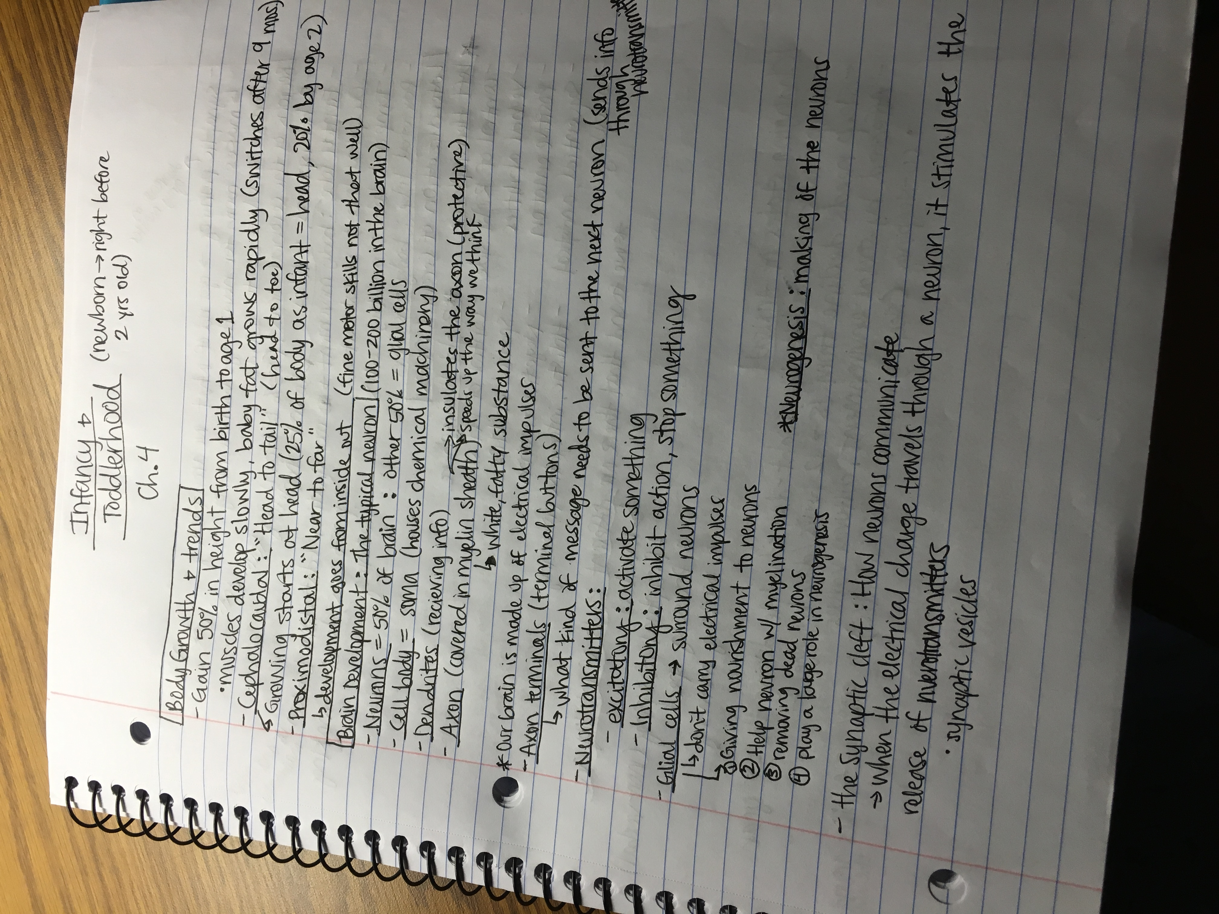 Notes that go along with the study guide