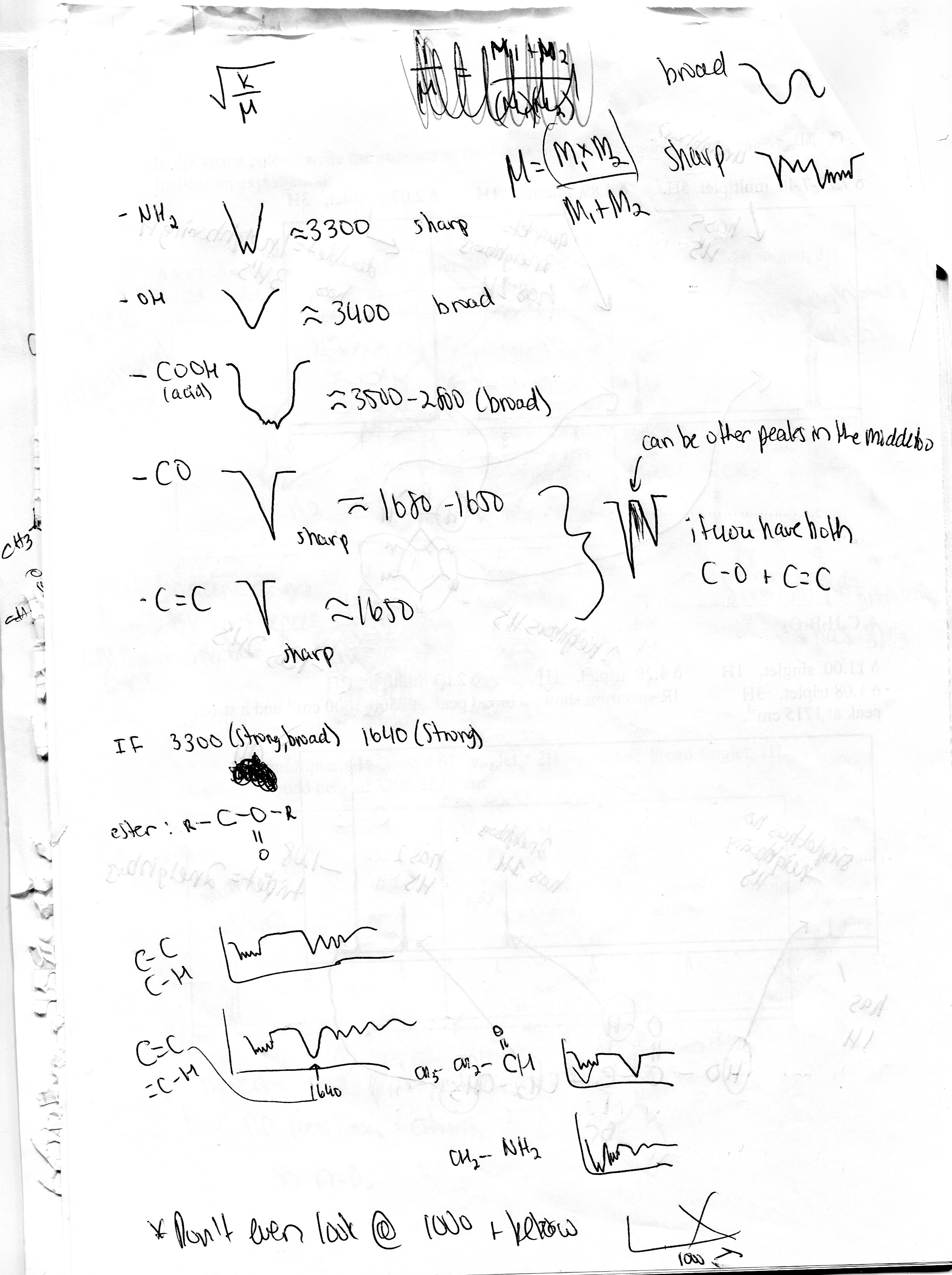 Study Guide for Final