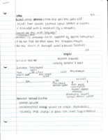 Brain and Behavior-Ch 1- Introduction