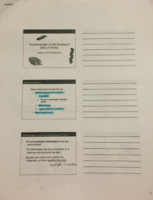 Chapter 9: Cell signalling  