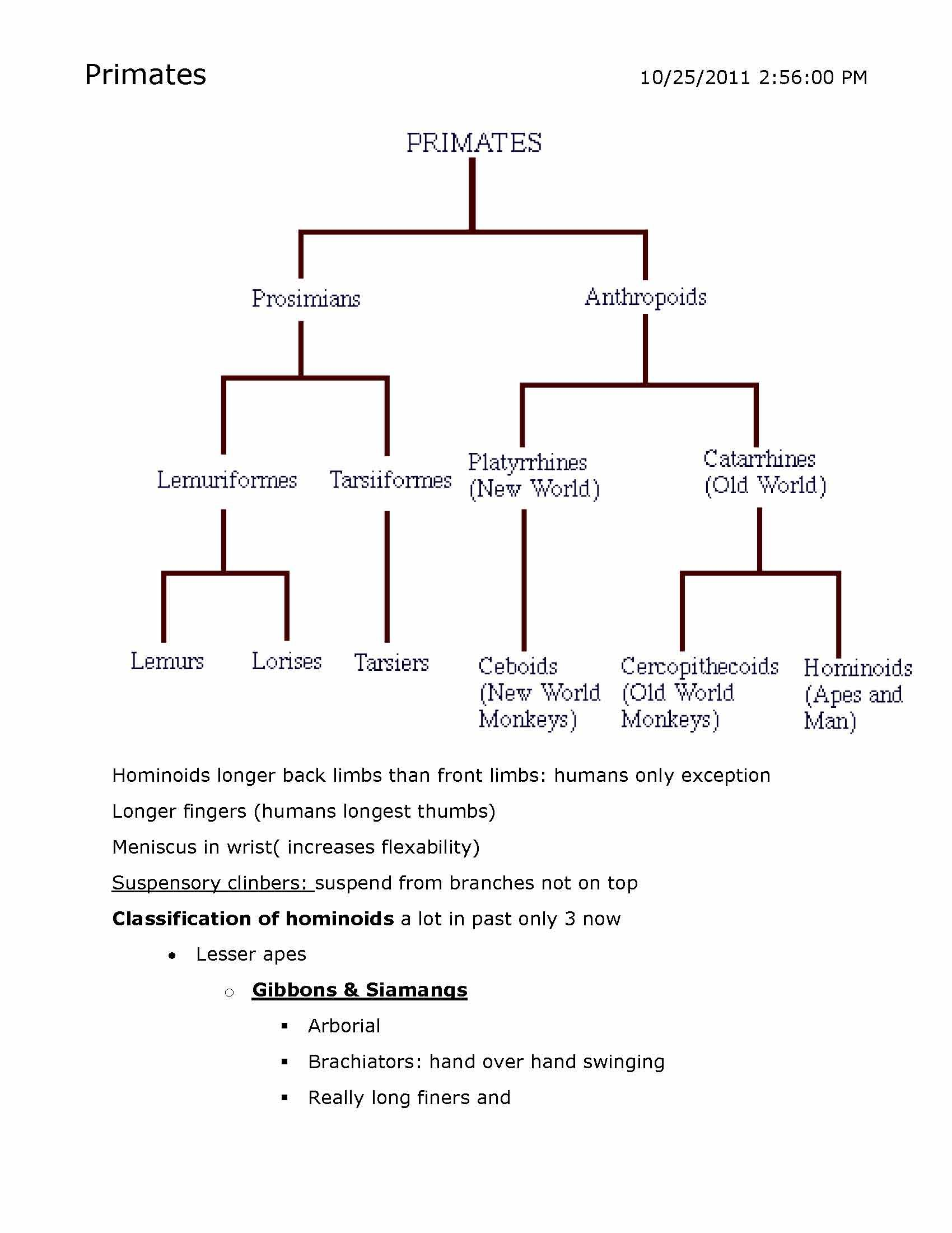Biological Anthropology