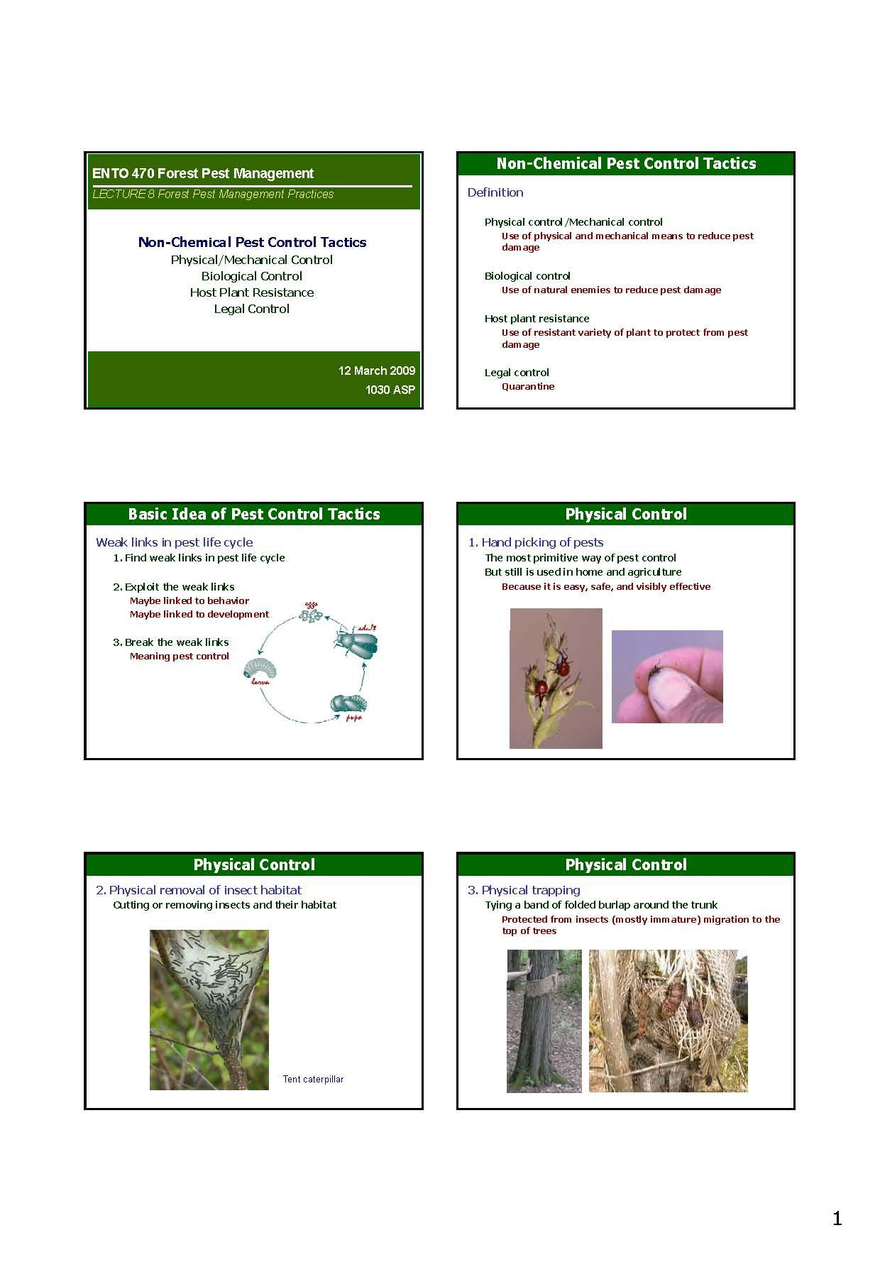 Forest Pest Management