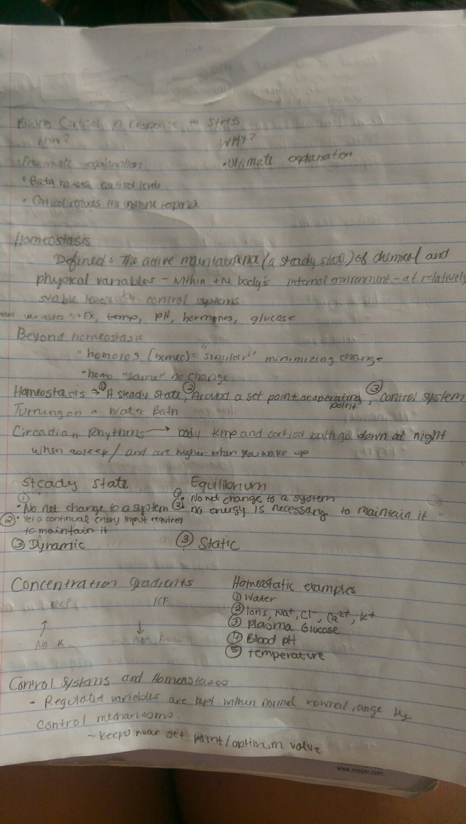 First Week of Mammalian Physiology Notes- Introduction to Physiology and Review of Biology. Also get into Details about Proteins
