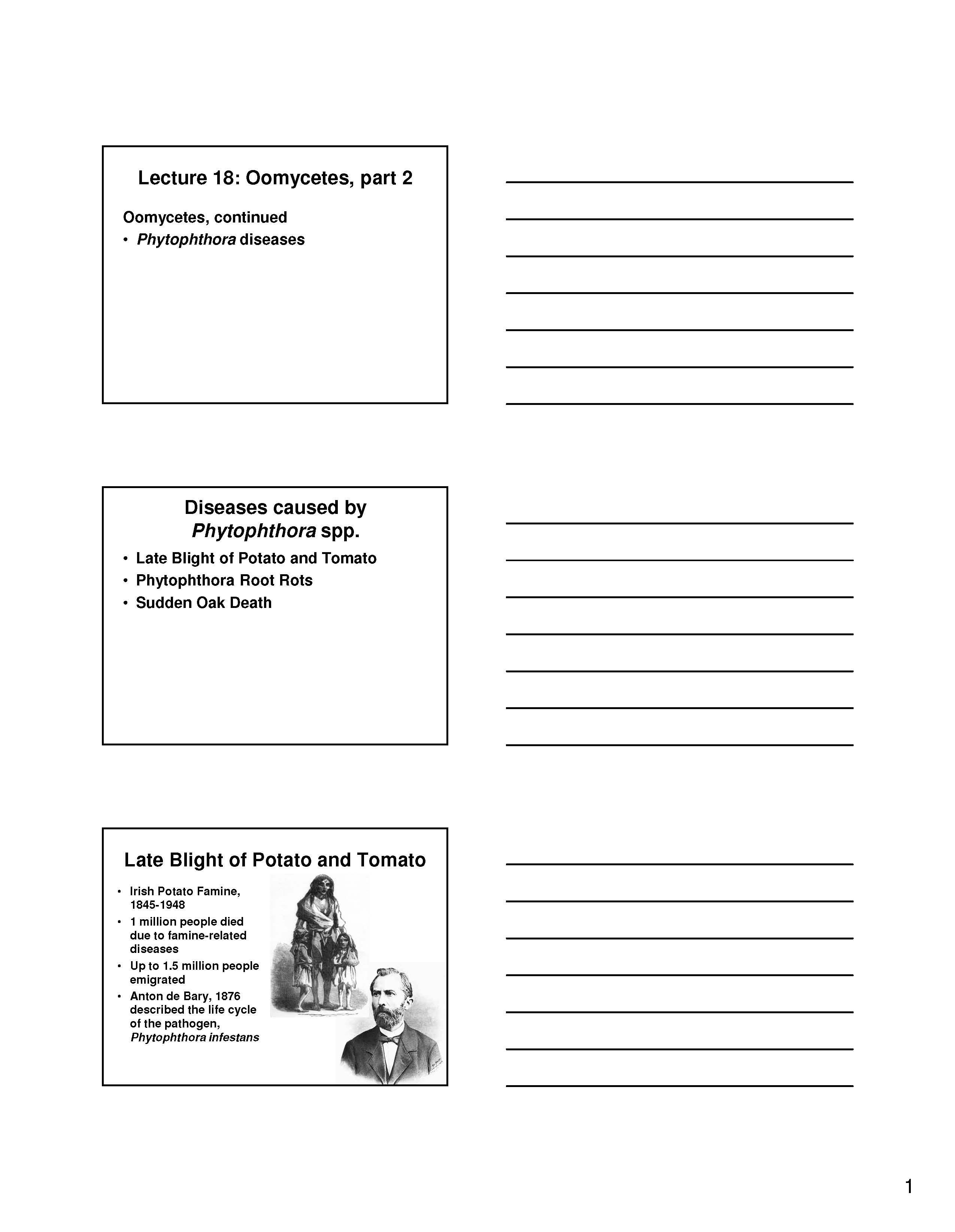 PRINCIPLES PLANT PATH