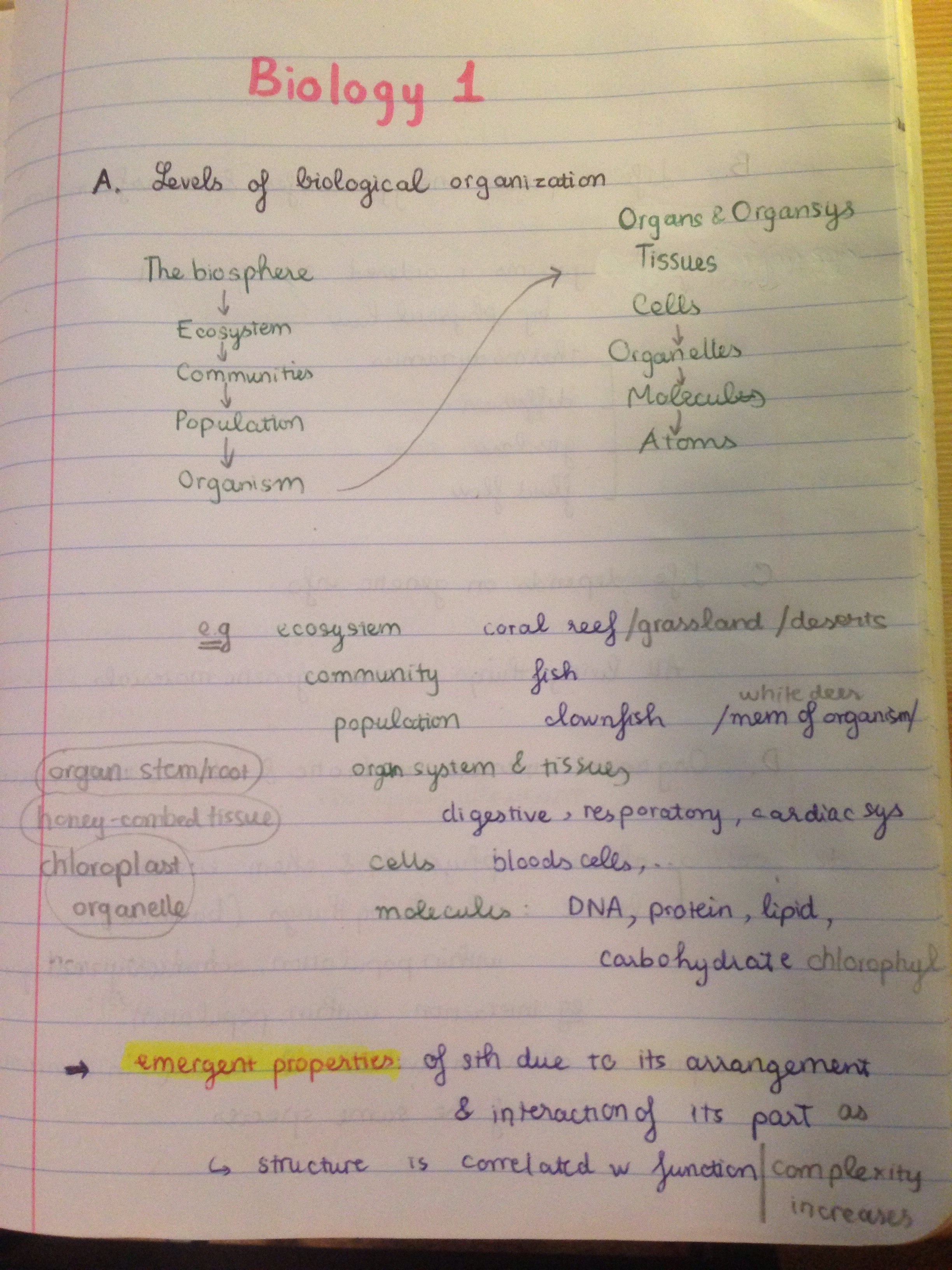 Week 1 Lecture - Bio 1