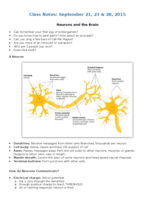 Neurons and the Brain 