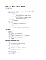 CDO 335 Week Eleven Lecture Notes
