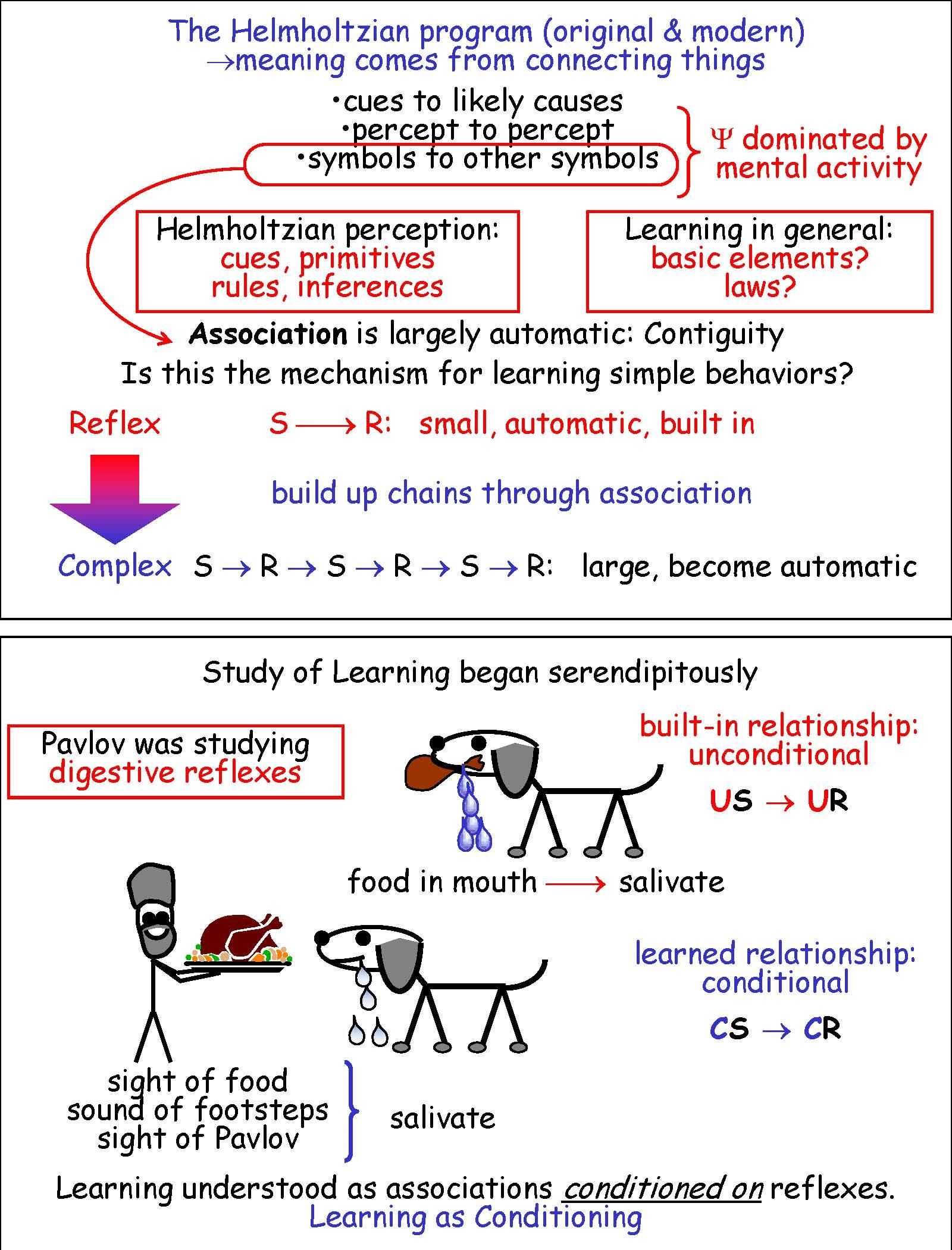 General Psychology I