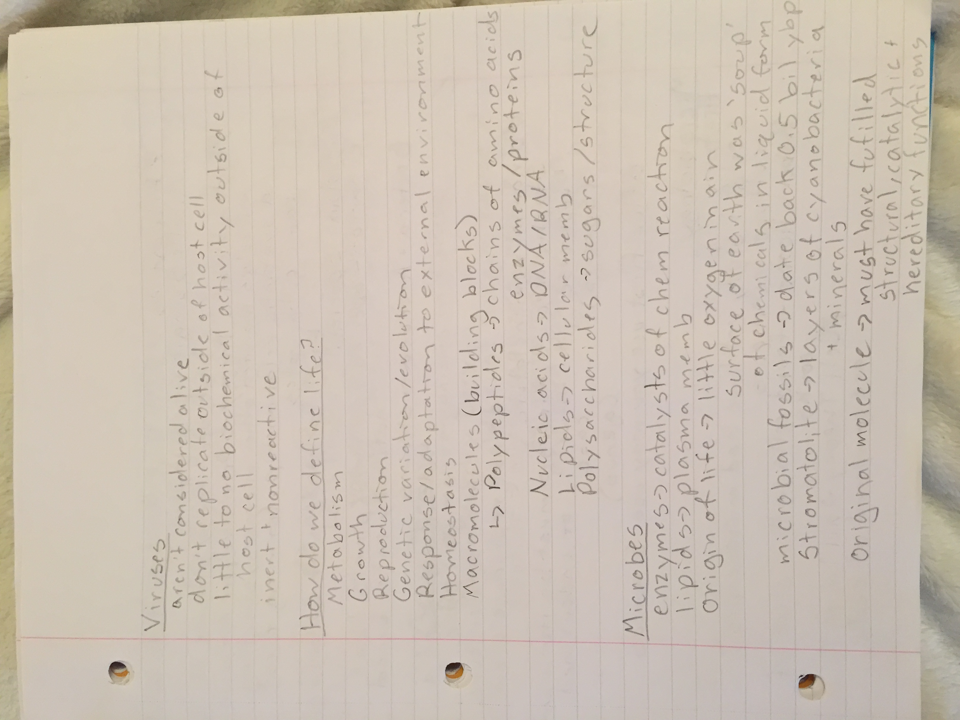 Week 2 Lecture Notes - Physics 1402