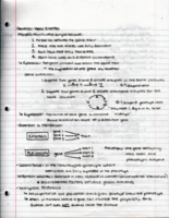 Genetics 466: Week 3 Notes