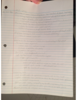Week 11 Notes