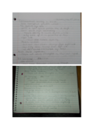 SLHS 2010 Notes #2