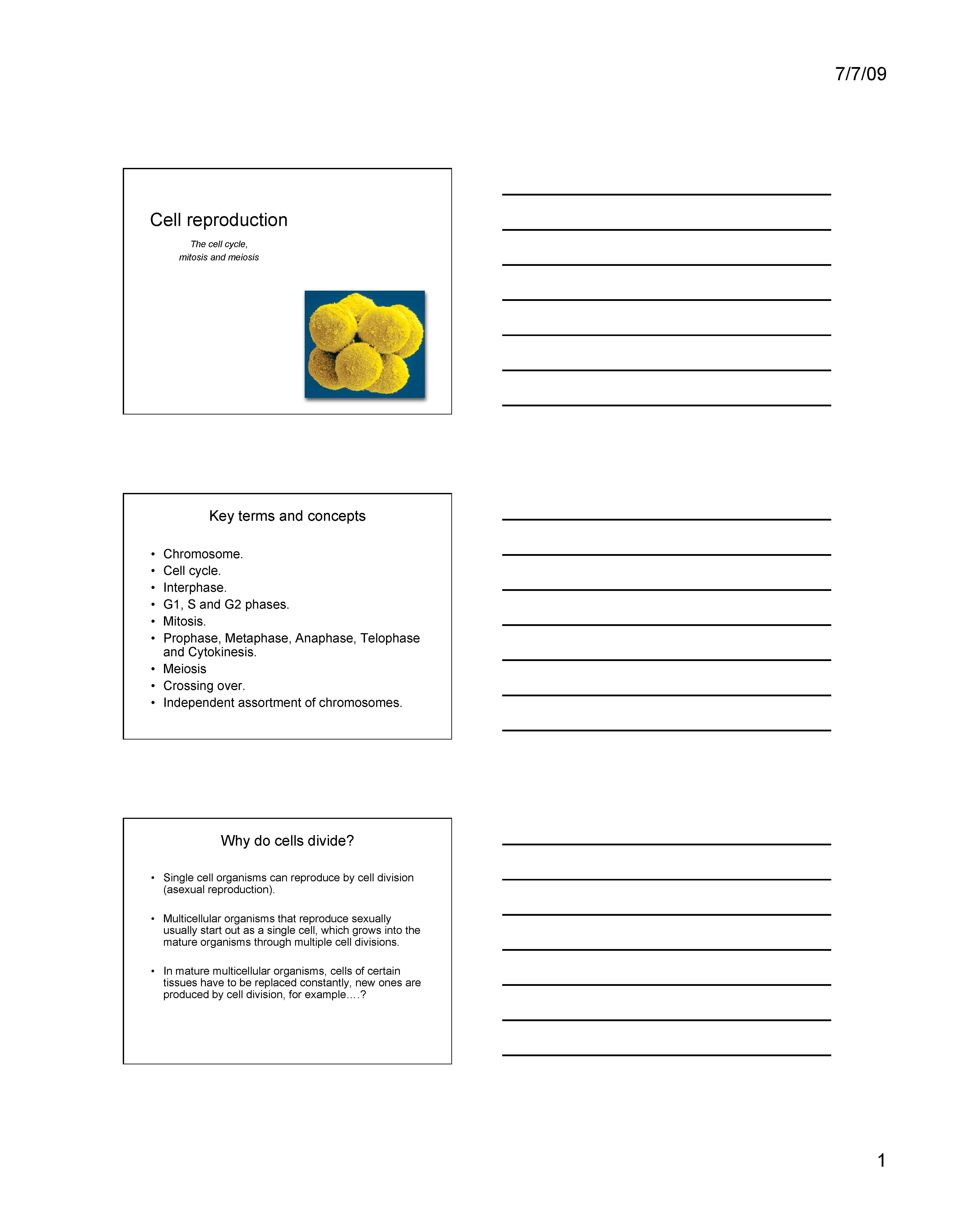 General Biology