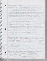 Transcription & Translation Notes