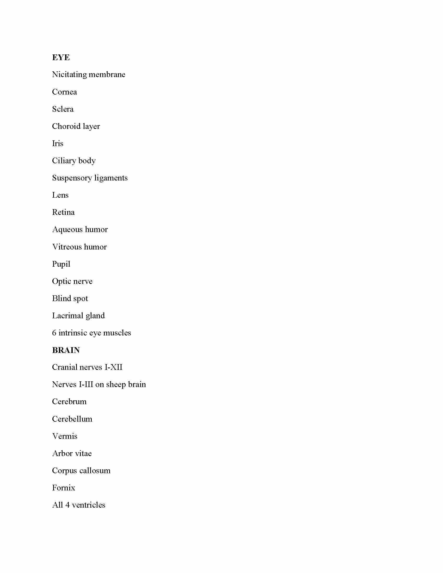 Human Anat Physiology II