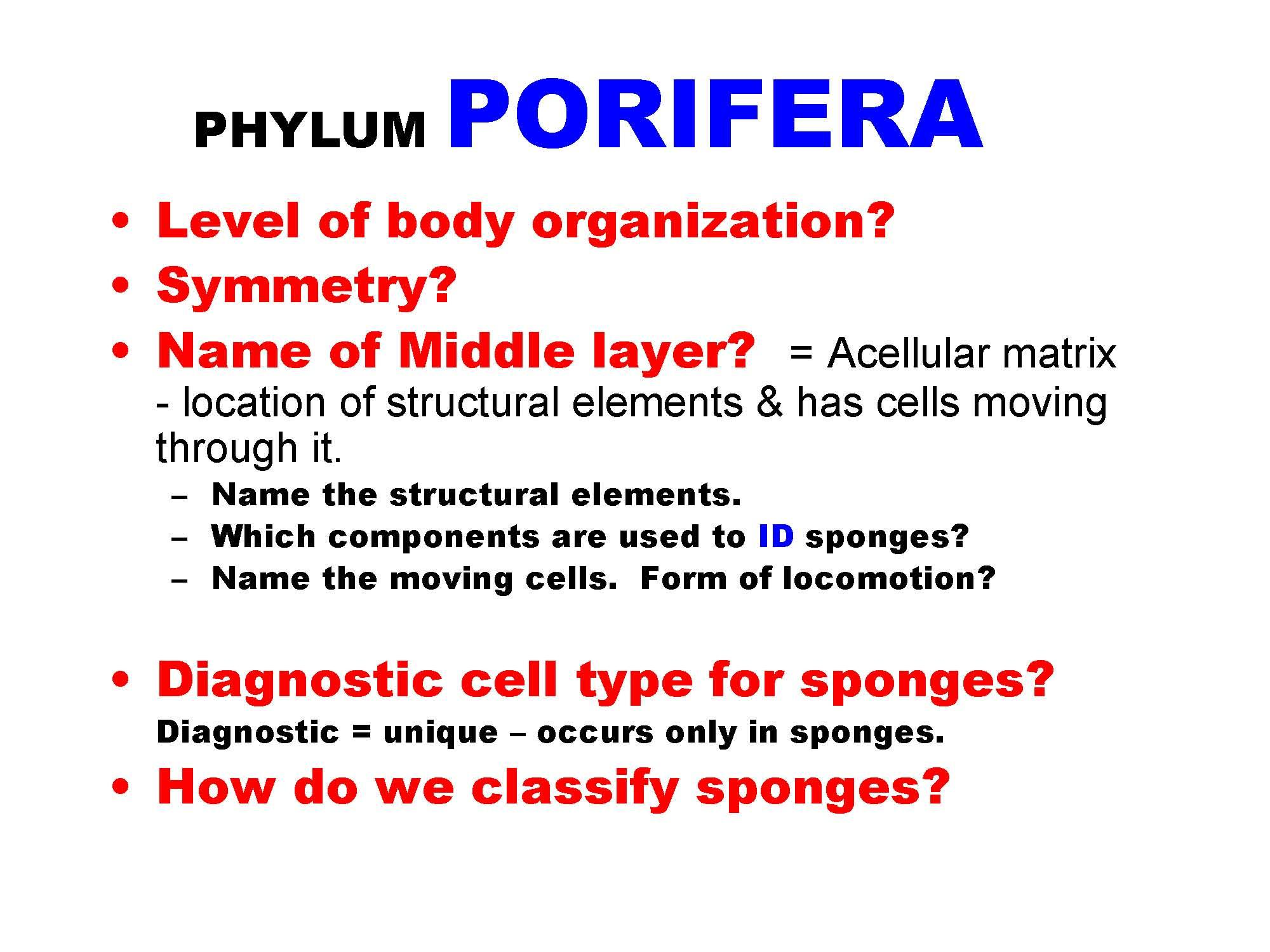 ANIMAL DIVERSITY LAB
