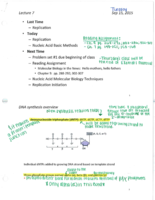 Lecture 7