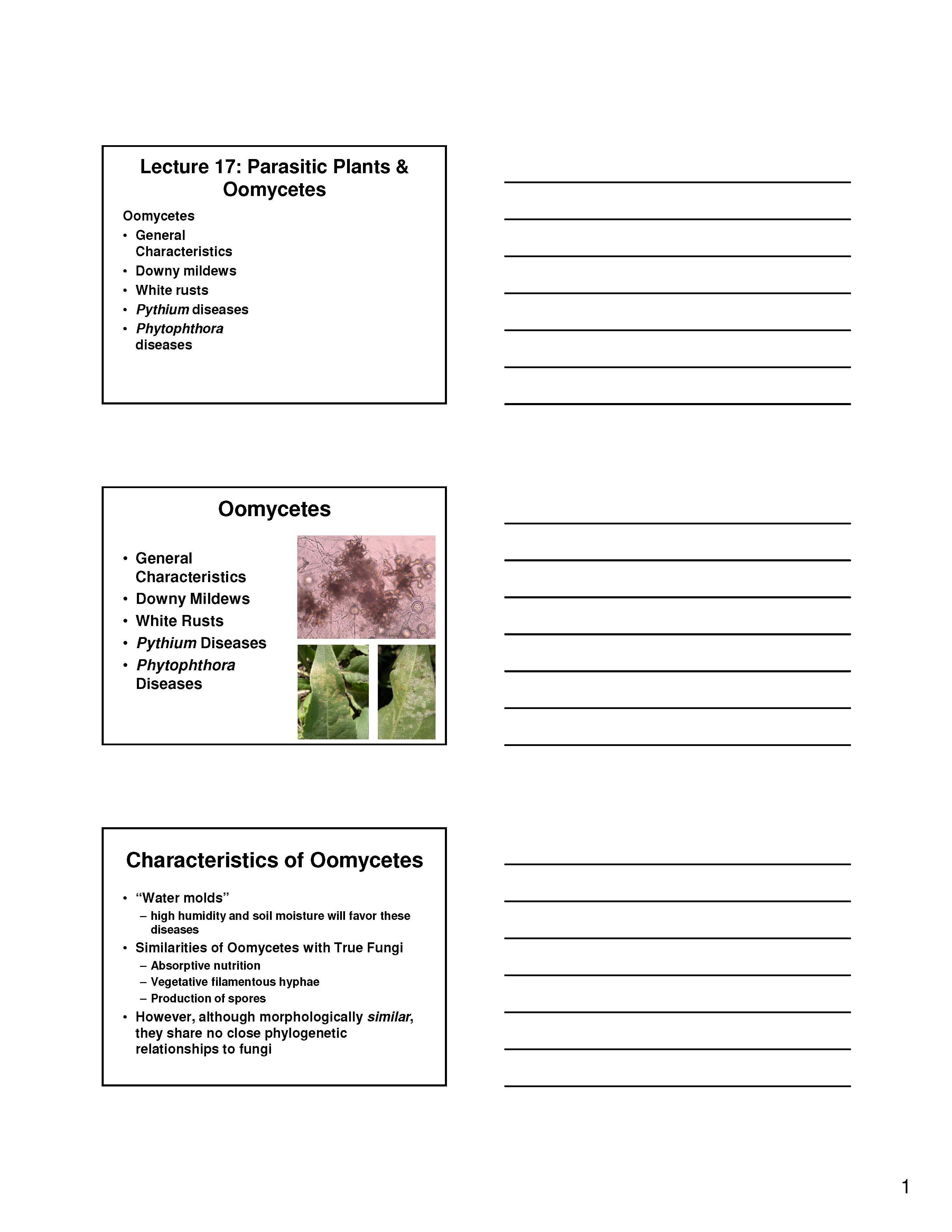 PRINCIPLES PLANT PATH