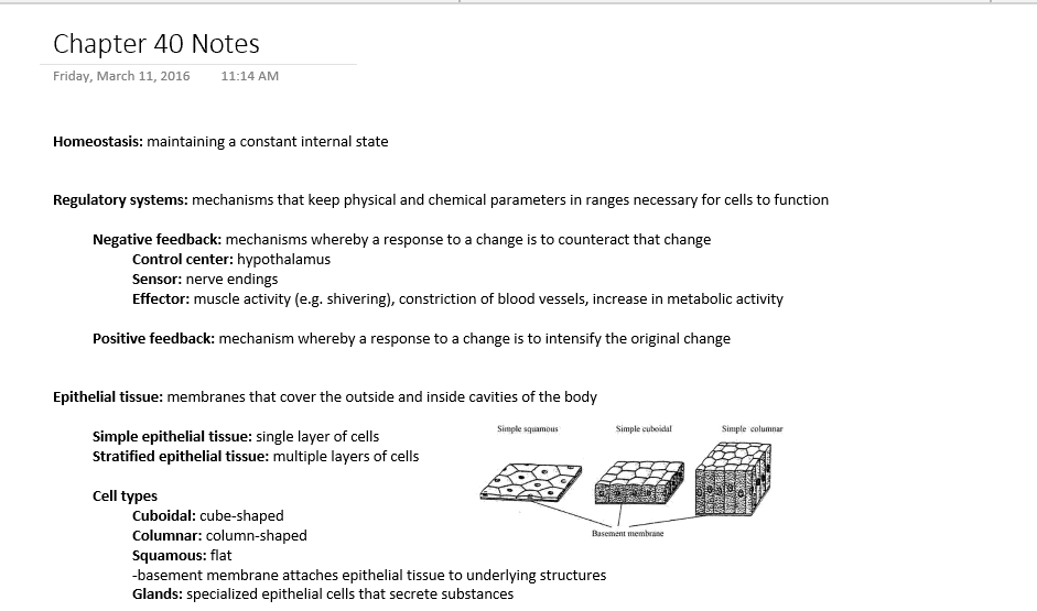 Core Biology 2 Chapter 40 Notes (Nervous System)