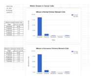 AP Biology - Onion Root Tip  - Sheet1-2