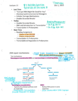 Lecture 11 Notes 