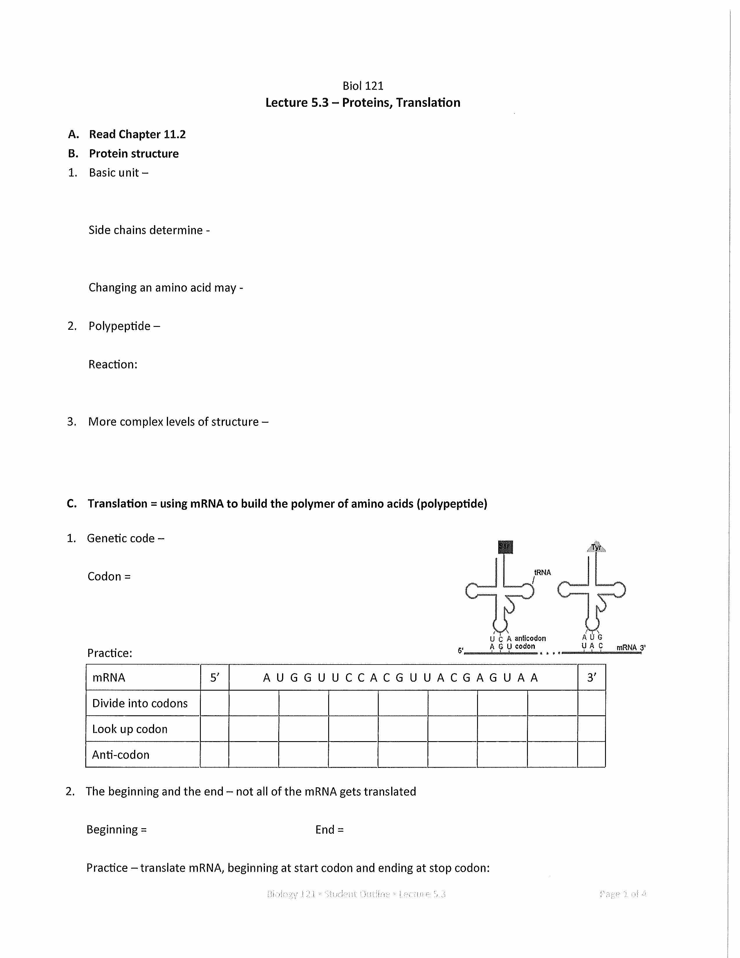 Biol Foundation for Physiology