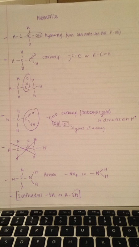 Chapter 5 Structure and Function of Large Biological molecules