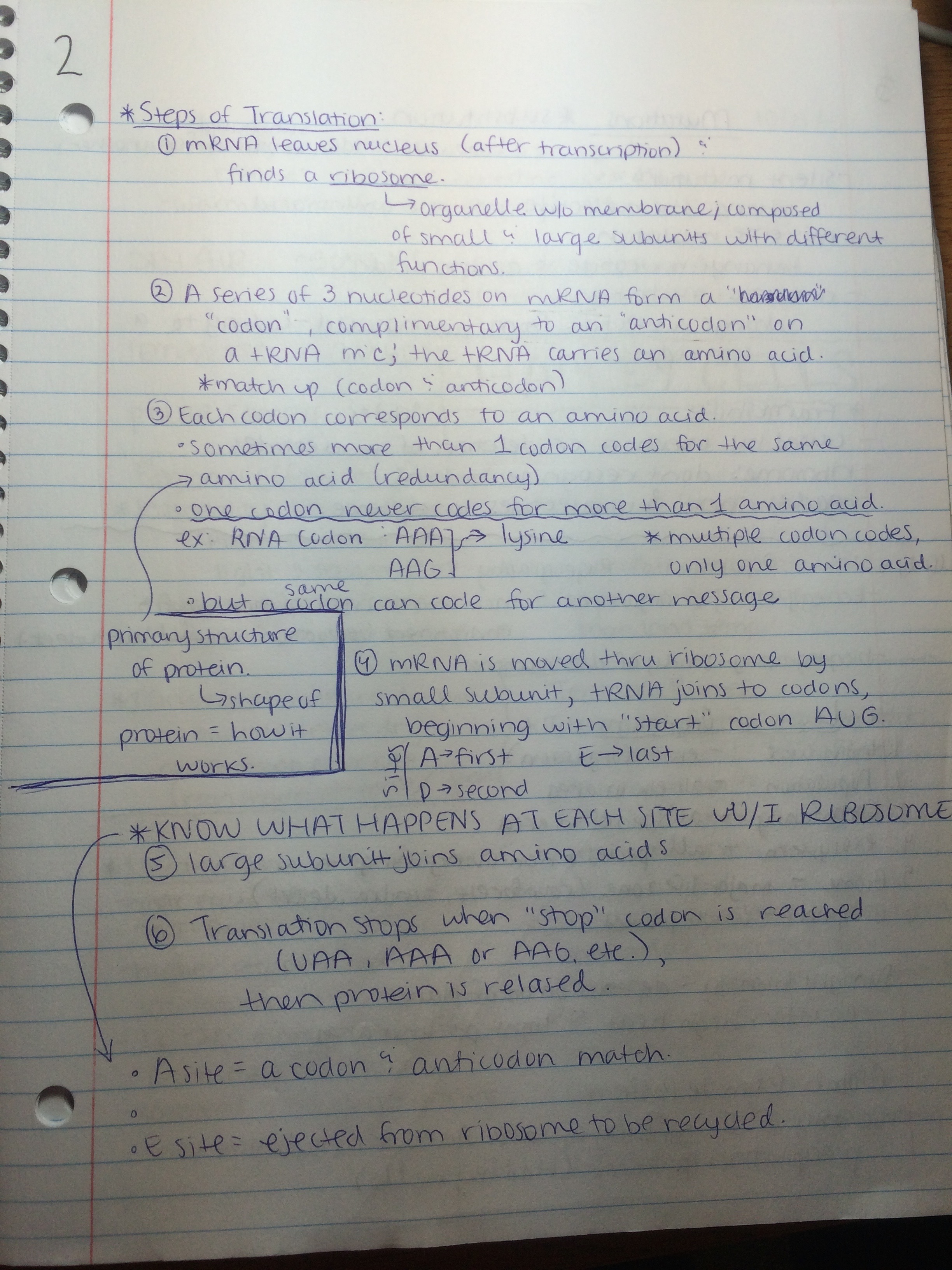 Lecture Notes October 15th - October 21st