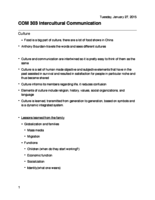 COM 303 Week 3 Notes 