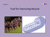 Chapter2-FuelforExercisingMuscle--Students.pdf
