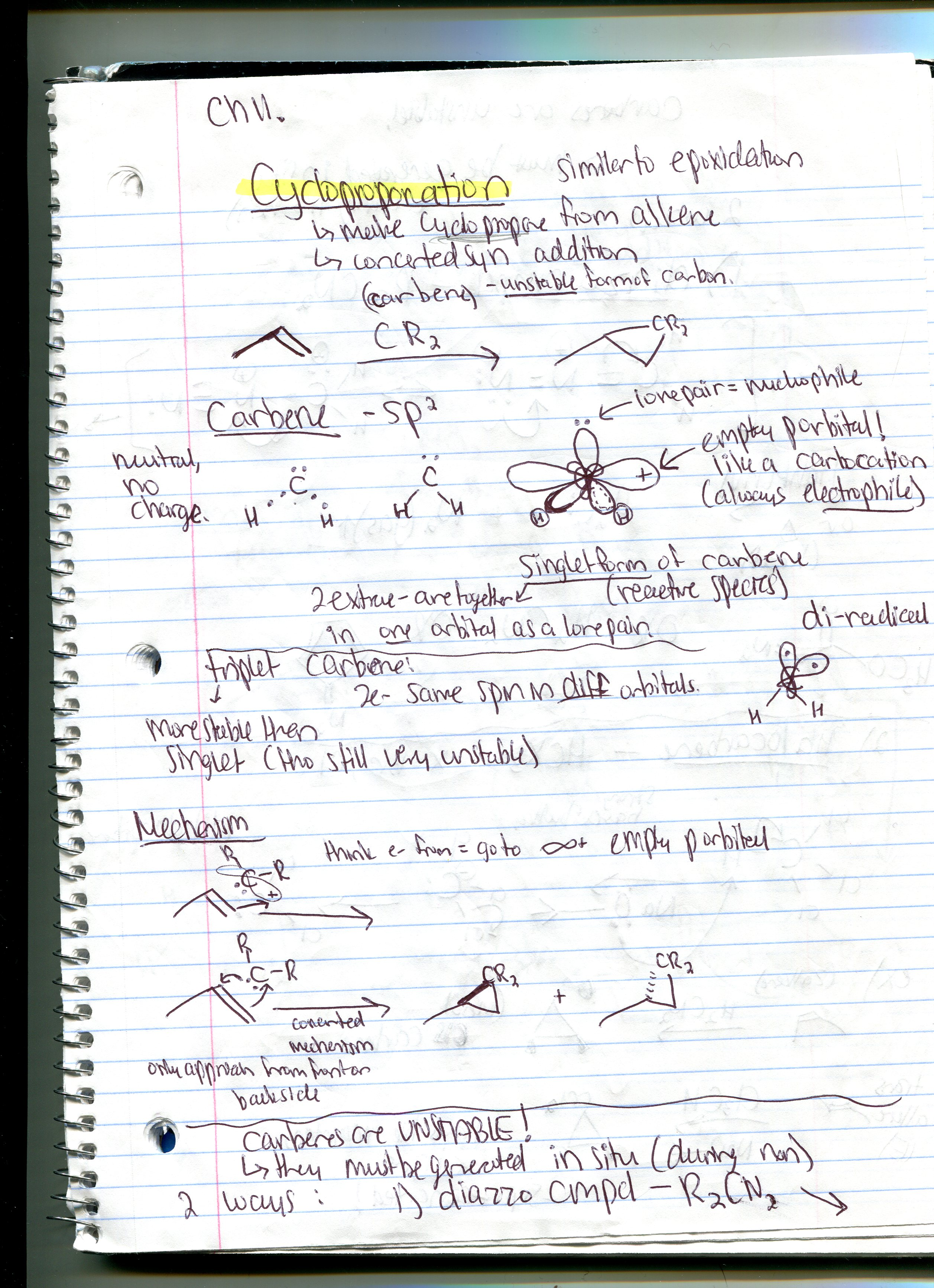 Chapter 11 Notes