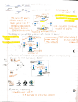 Chapter 2: Acids and Bases