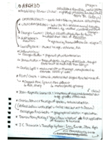 ANTH-0050 Prehistoric Arch: Artifacts, Methods, Primates, and Heritage
