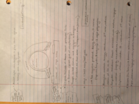 studysoup theatre2040_2.pdf