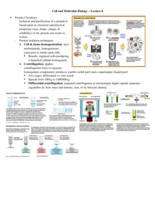 Lecture 8 Notes - Protein Biochemistry