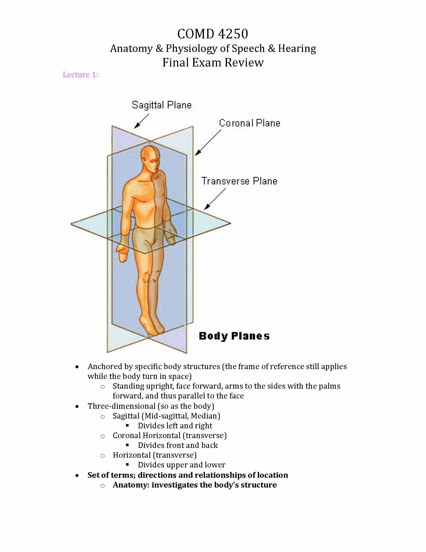 ANAT PHYS SPCH & HEA