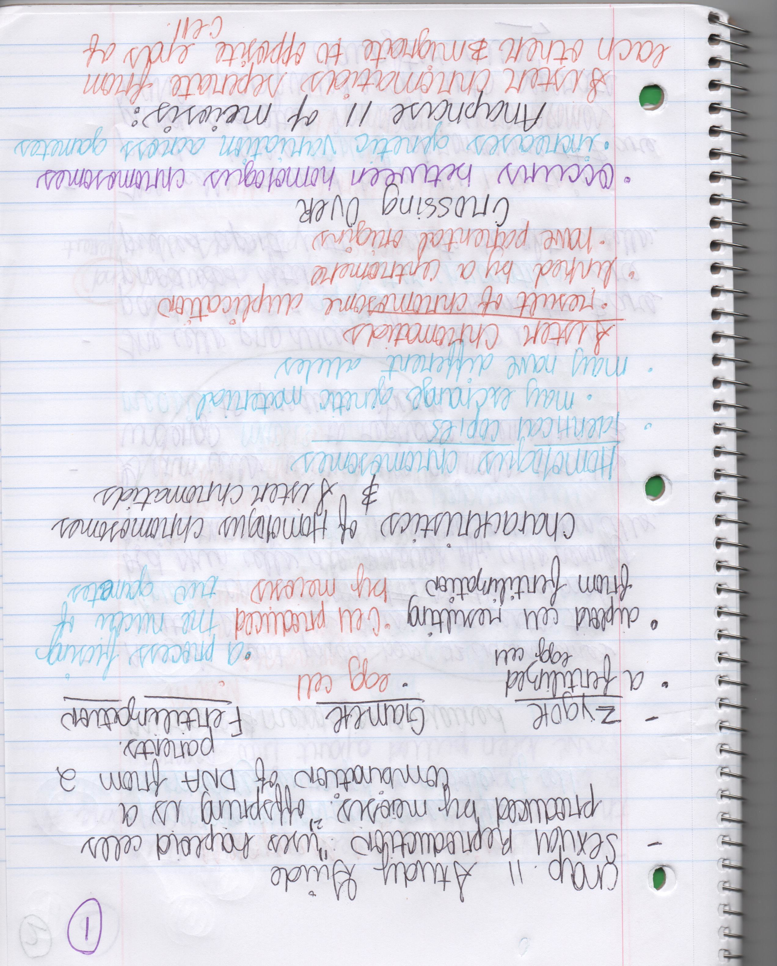 Chapter 11 Study Guide