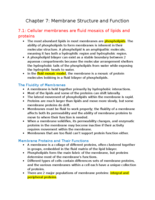 General Biology 121- Chapter 7: Membrane Structure and Function
