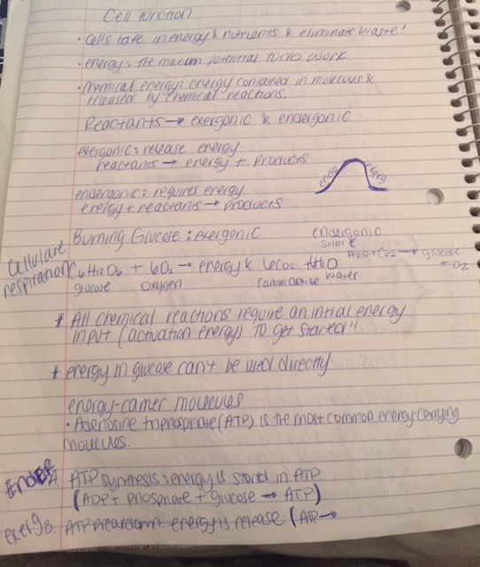 Biology 1104K Cell Function & Homeostasis 